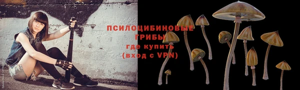 гашишное масло Богородицк