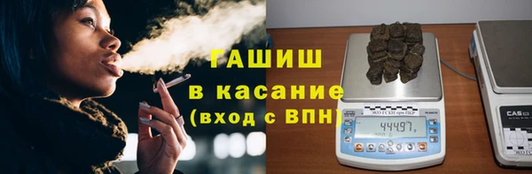 гидра Богданович