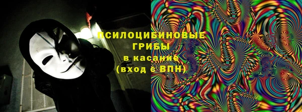 тгк Бронницы