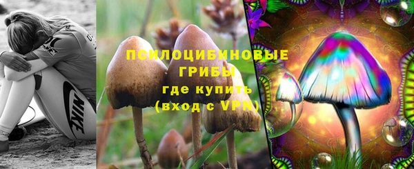гидра Богданович