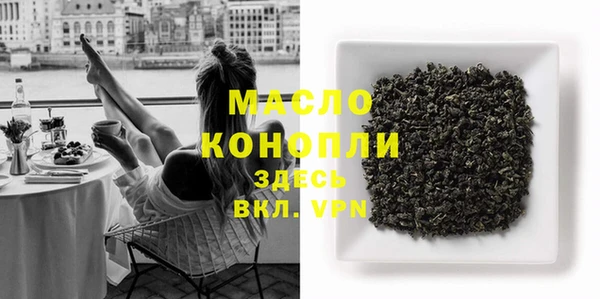 гидра Богданович
